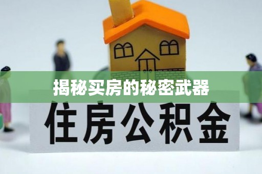 乌达揭秘买房的秘密武器