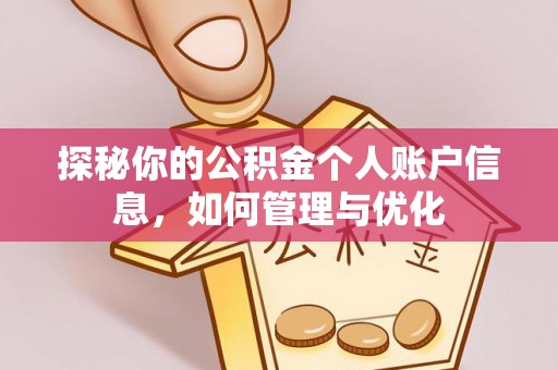 乌达探秘你的公积金个人账户信息，如何管理与优化