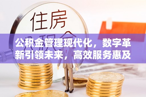 乌达公积金管理现代化，数字革新引领未来，高效服务惠及民生