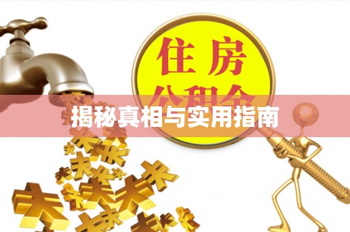 乌达揭秘真相与实用指南