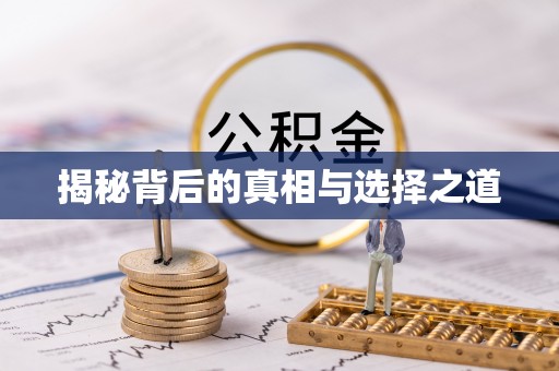 乌达揭秘背后的真相与选择之道