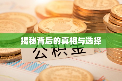 乌达揭秘背后的真相与选择