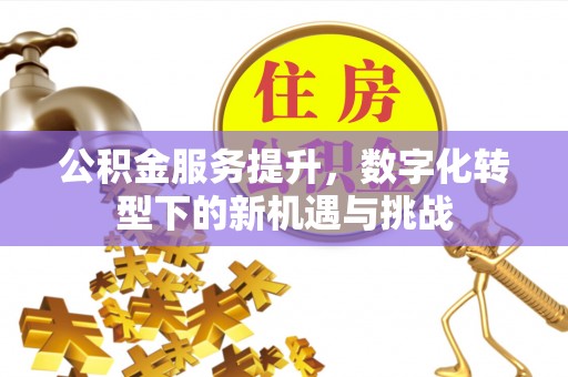乌达公积金服务提升，数字化转型下的新机遇与挑战