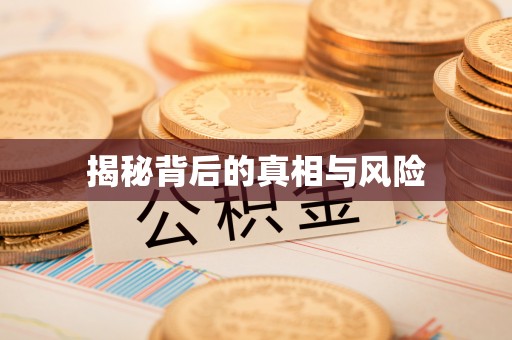 乌达揭秘背后的真相与风险