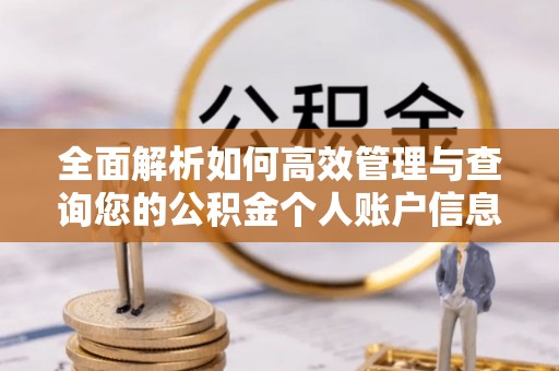 乌达全面解析如何高效管理与查询您的公积金个人账户信息