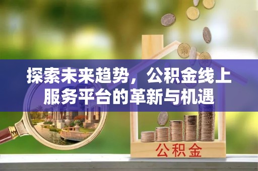 乌达探索未来趋势，公积金线上服务平台的革新与机遇