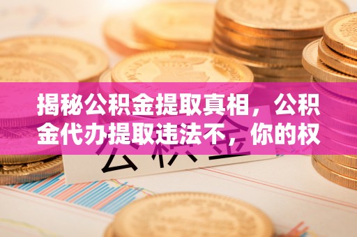 乌达揭秘公积金提取真相，公积金代办提取违法不，你的权益如何保障？