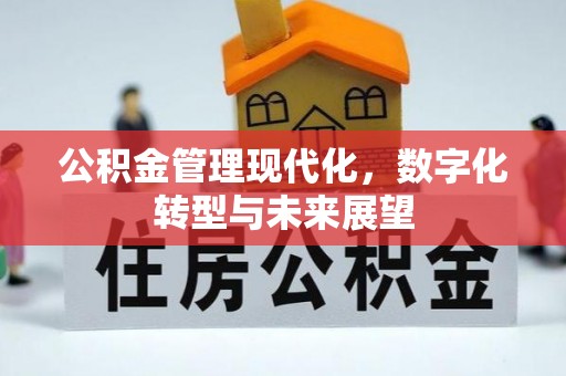 乌达公积金管理现代化，数字化转型与未来展望