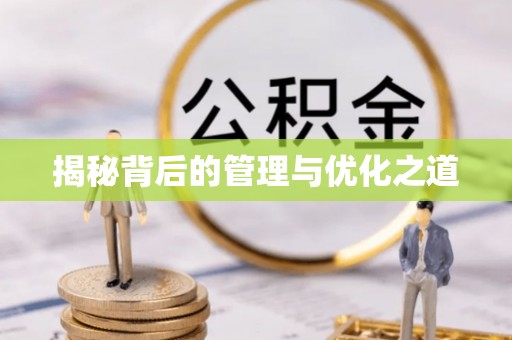乌达揭秘背后的管理与优化之道